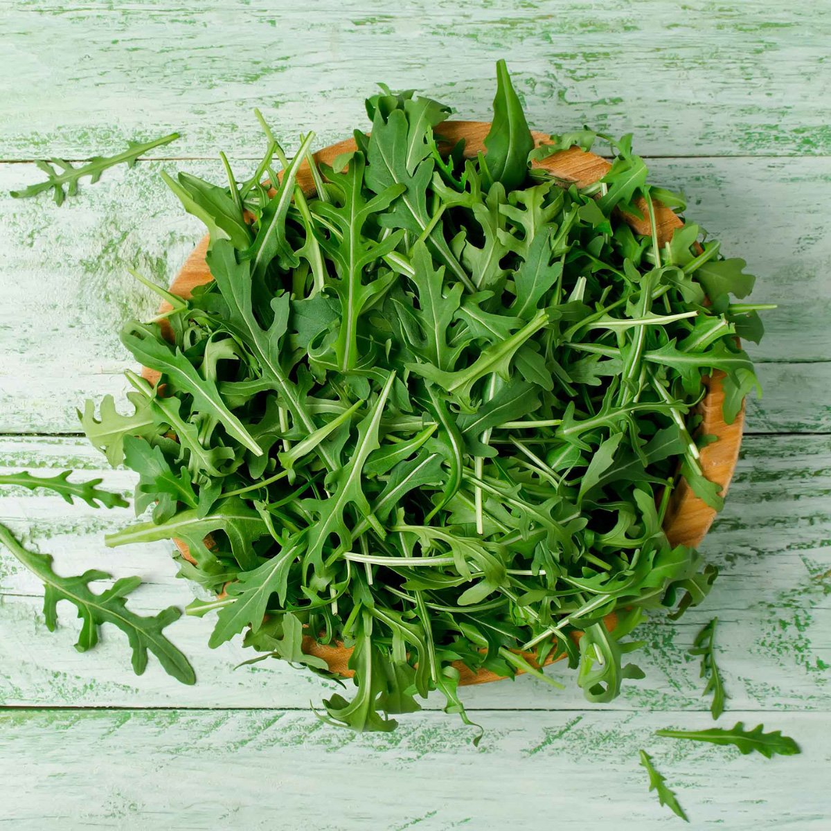 ACsemillas - Arugula Wild Rocket 3 Arugula Wild Rocket - Image 1