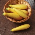 Calabaza Gold Prize