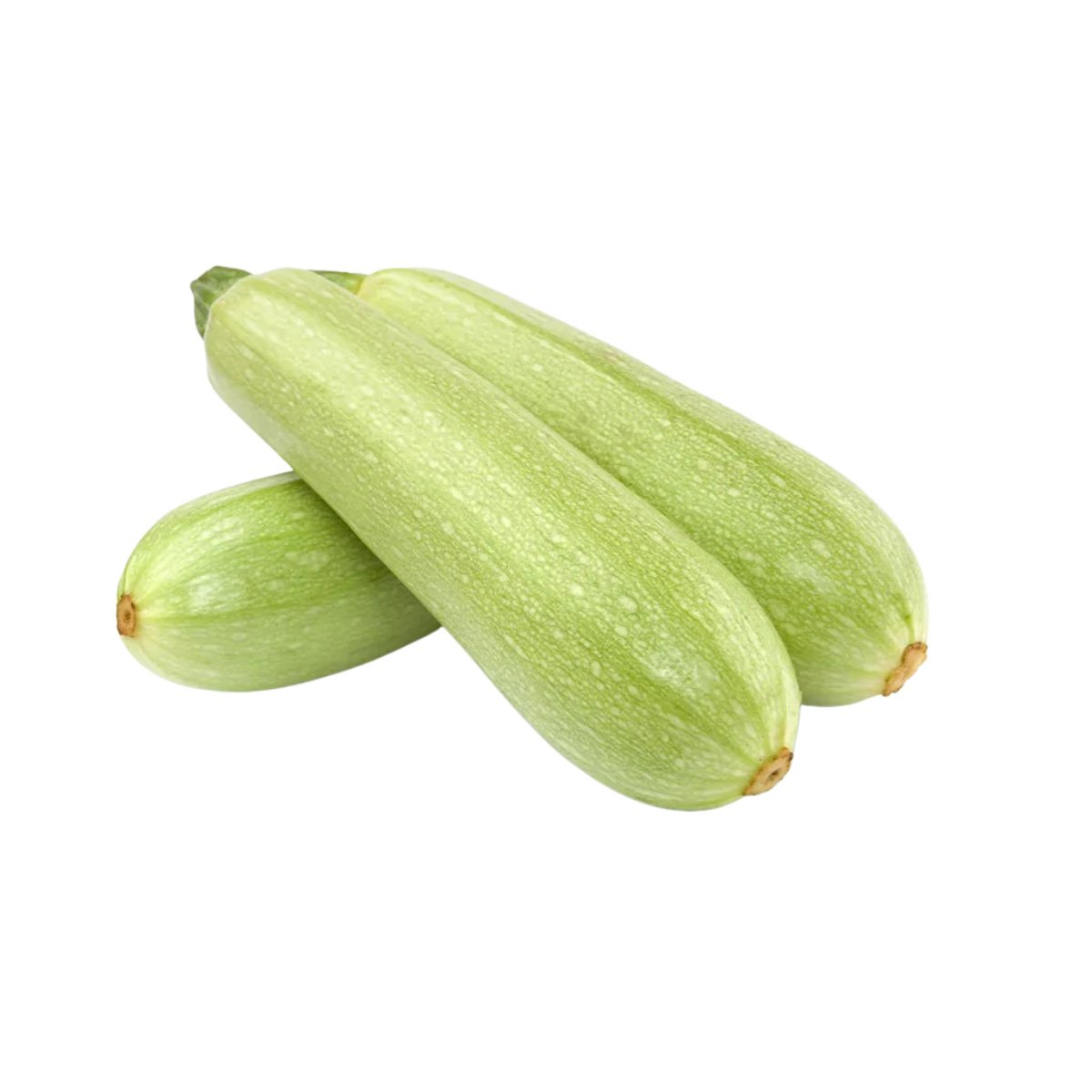 ACsemillas - Calabaza Grey Squash Calabaza Grey Squash - Image 1