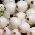 Cebolla Reina Blanca - Image 2