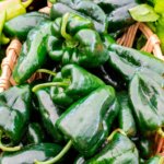 Chile Ancho San Luis - Image 2
