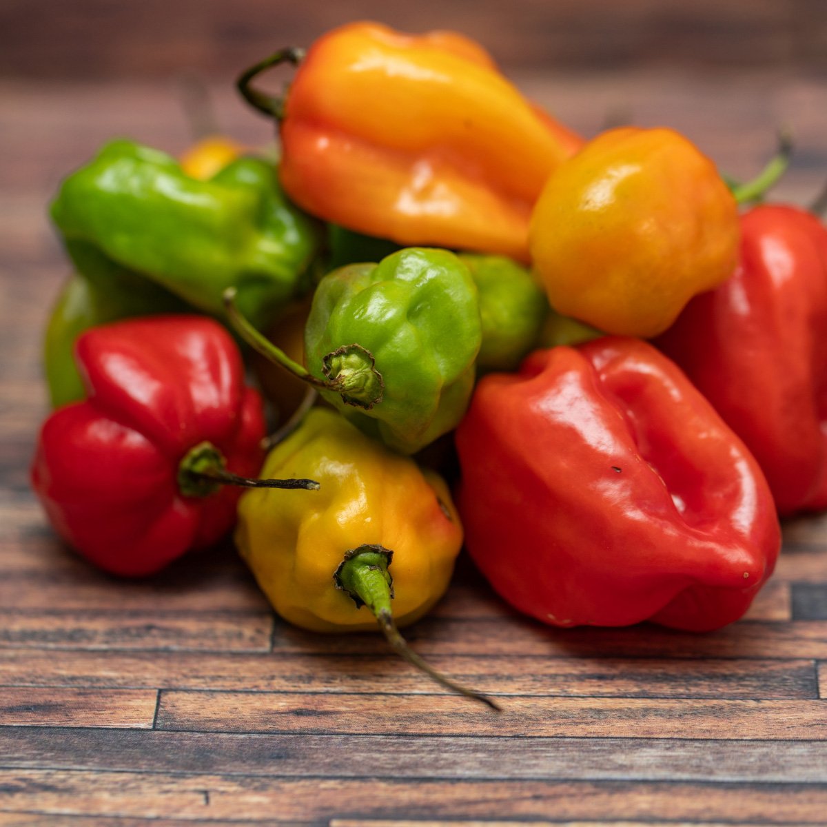 ACsemillas - Chile Habanero Caloro Chile Habanero Caloro - Image 1