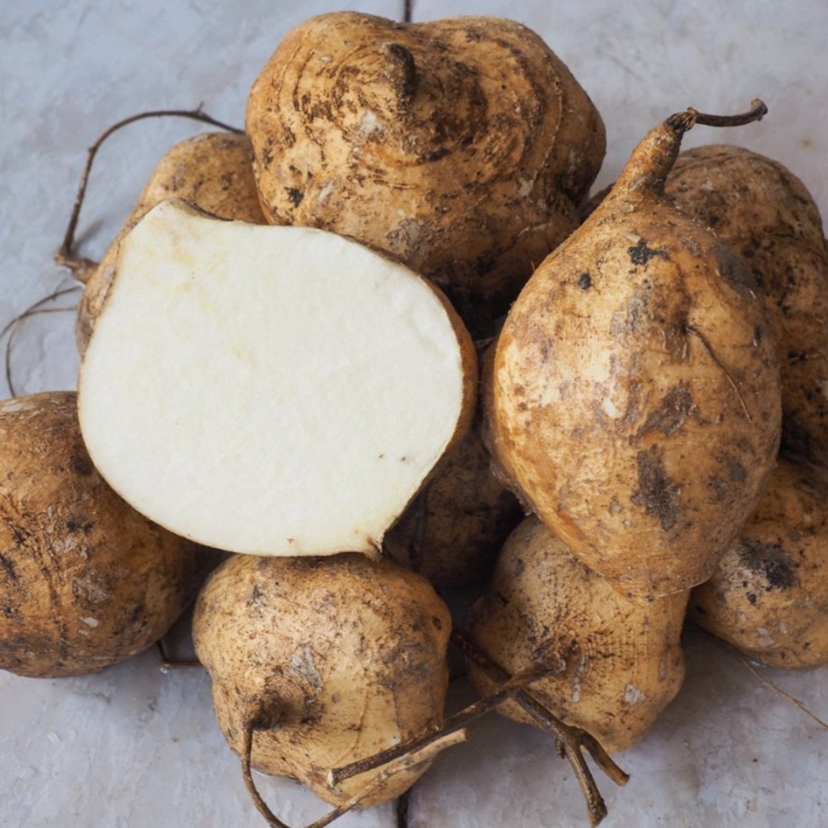 ACsemillas - Jicama de Agua Jícama de Agua - Image 1