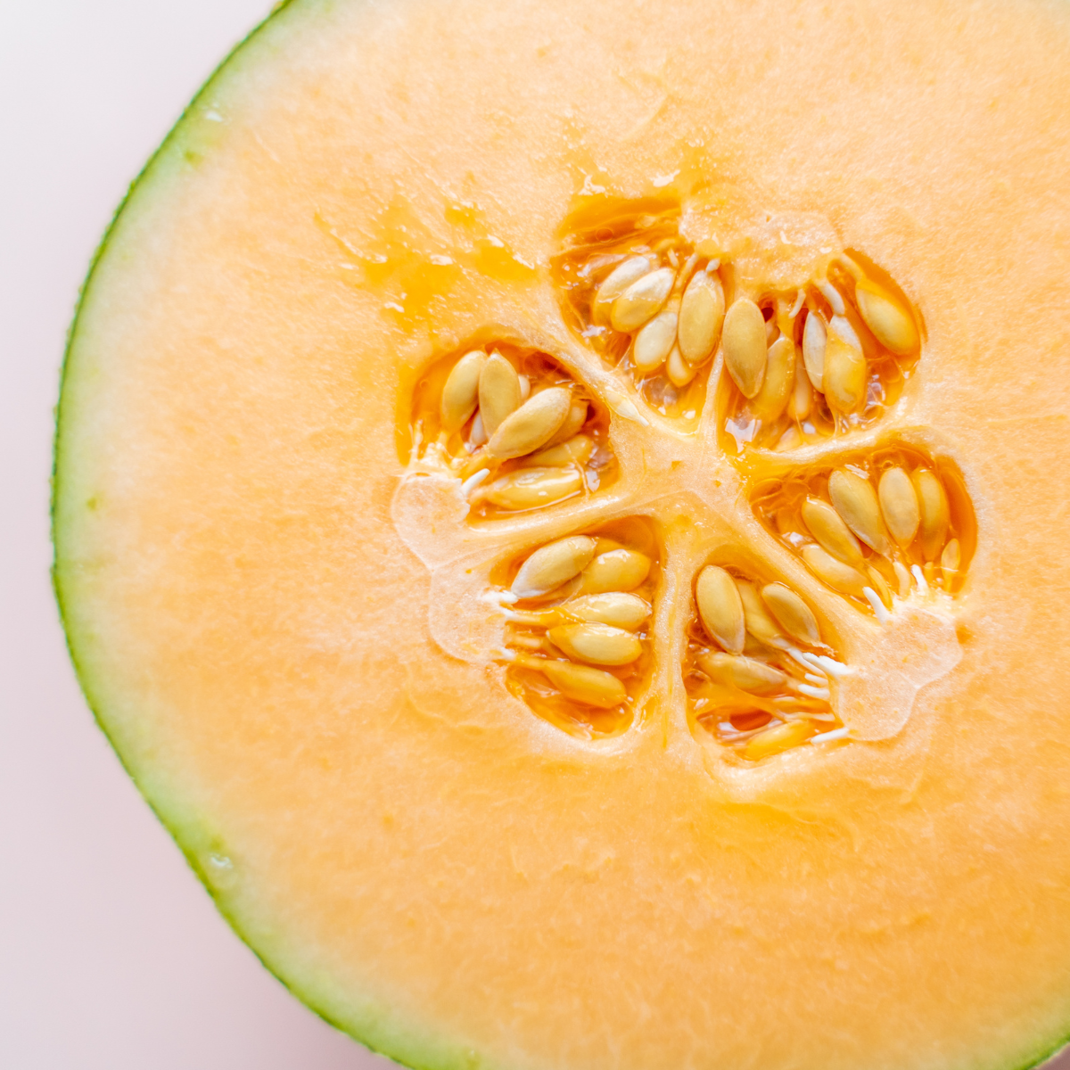 Melón Acclaim Melón Acclaim - Image 1