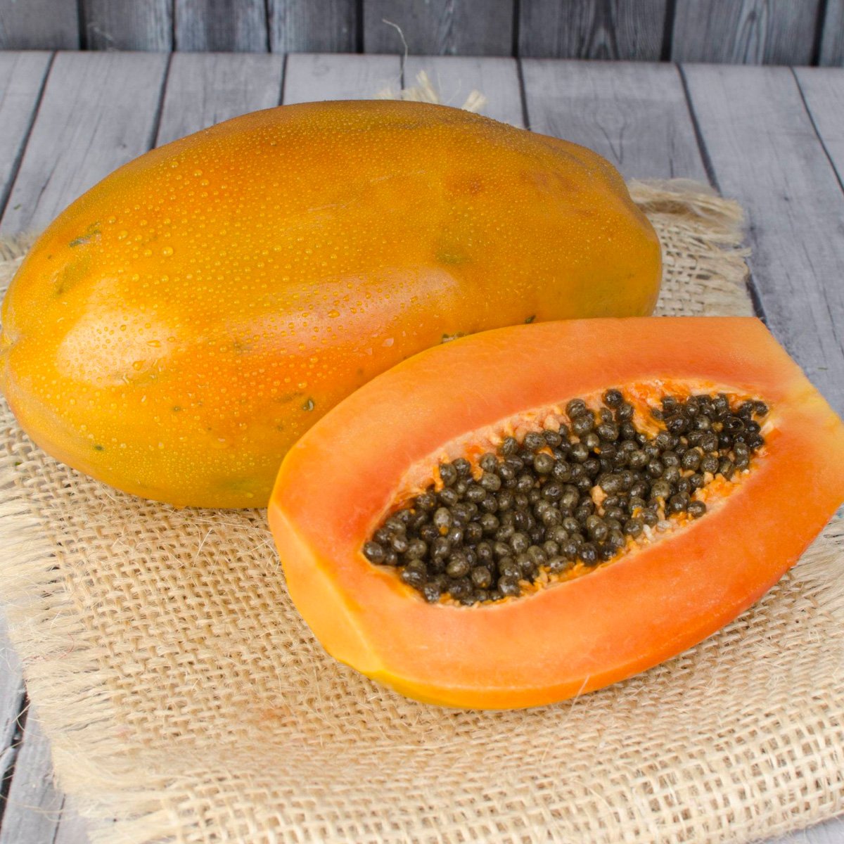 ACsemillas - Papaya Maradol Papaya Maradol - Image 1