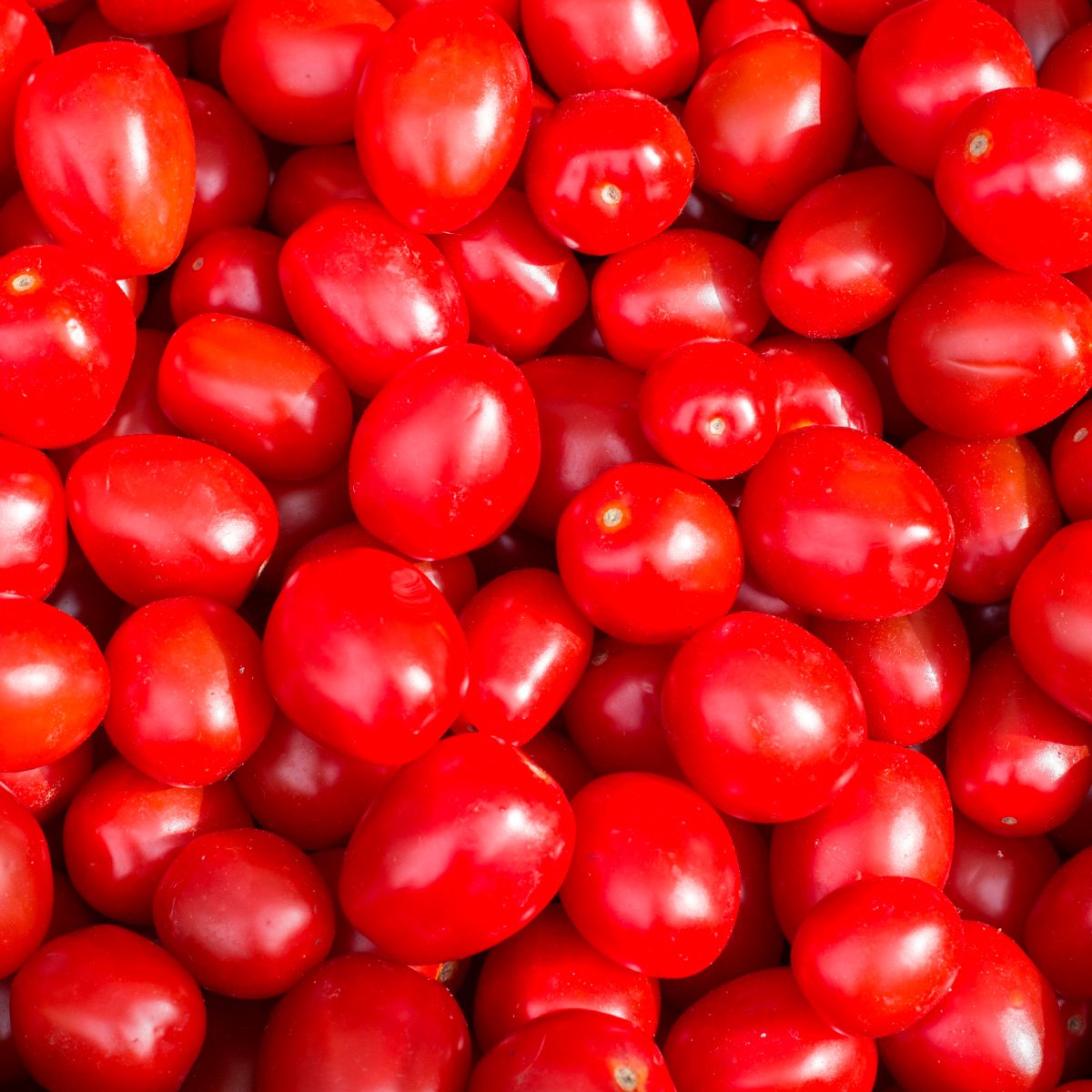 ACsemillas - Tomate Determinado Mar Rojo Tomate Determinado Mar Rojo - Image 1