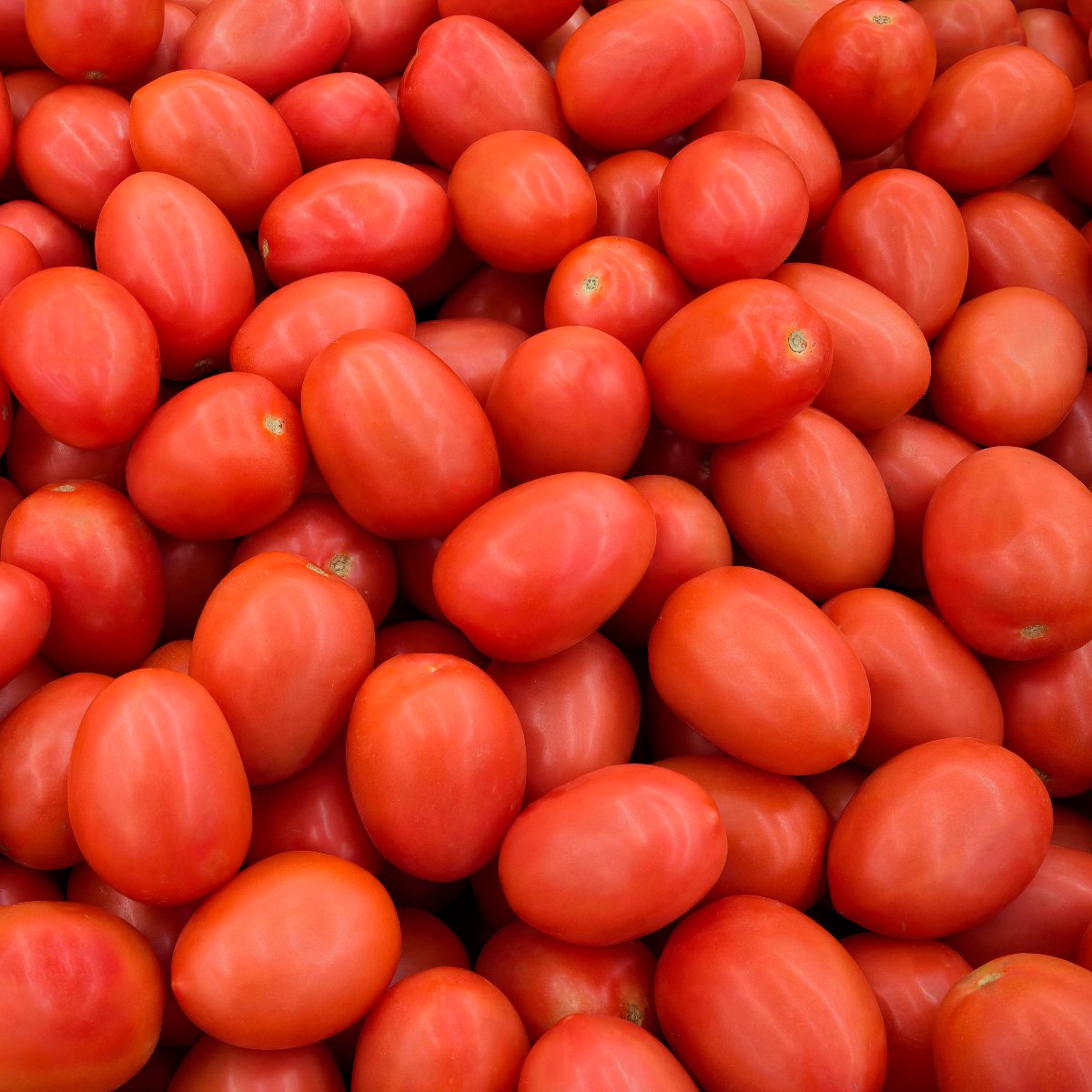 ACsemillas - Tomate Indeterminado Altius Tomate Indeterminado Altius - Image 1