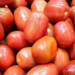 Tomate Indeterminado Kilates