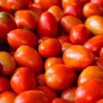 Tomate Indeterminado Mar TY