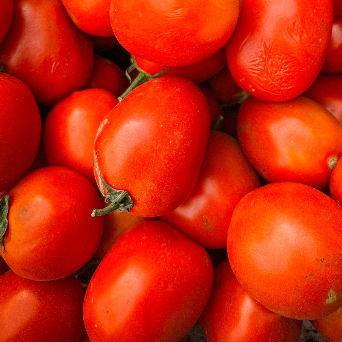 ACsemillas - Tomate el Arrojado Tomate El Arrojado - Image 1