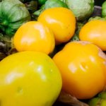 Tomatillo Manzano Supremo