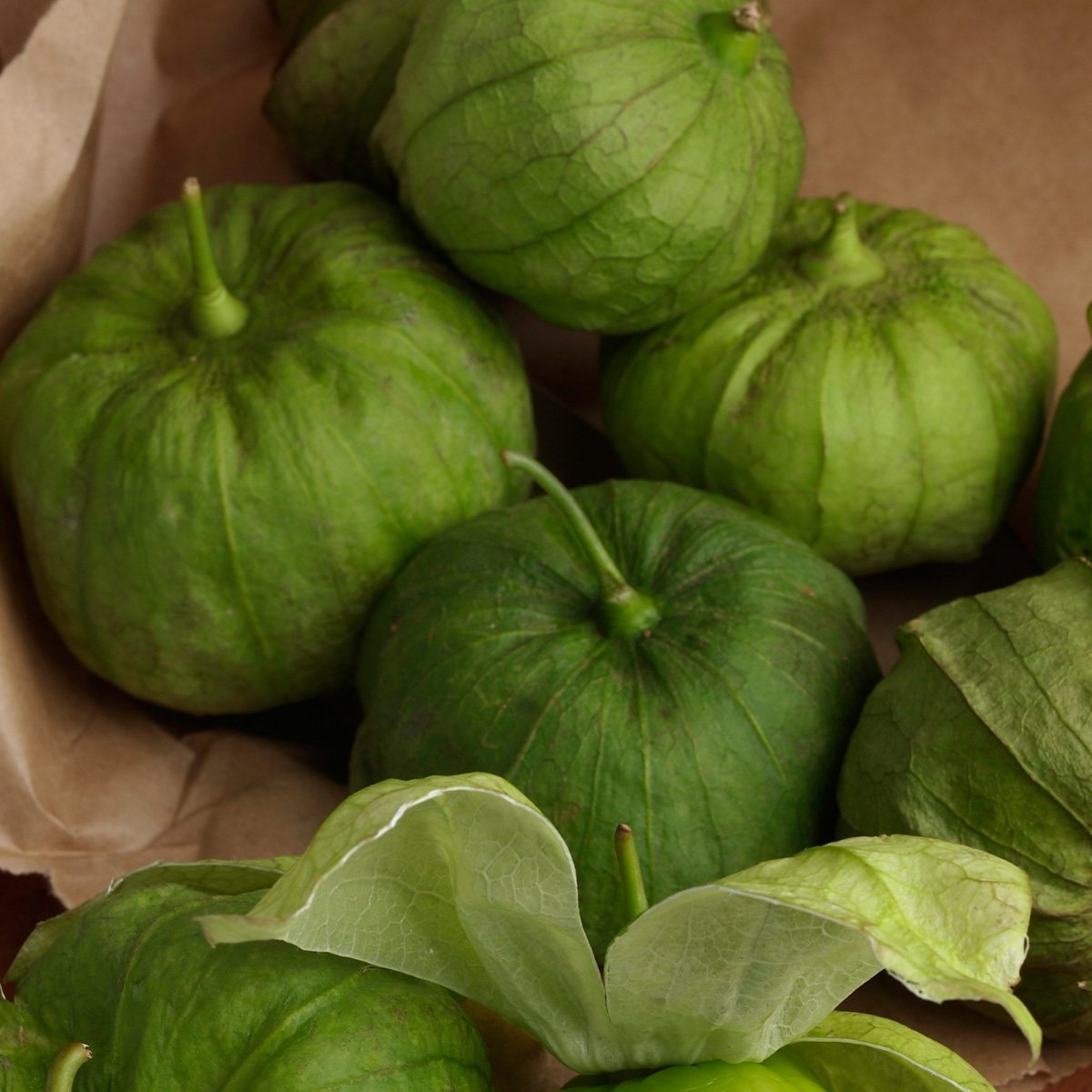 ACsemillas - Tomatillo Tequisquiapan Tomatillo Tequisquiapan - Image 1